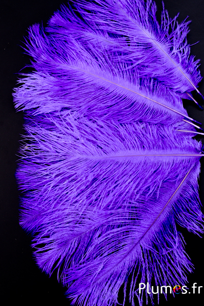 Autruche - 13-18 cm - lilas foncé